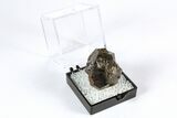 Goethite Pseudomorph after Pyrite Crystals - Utah #371937-1